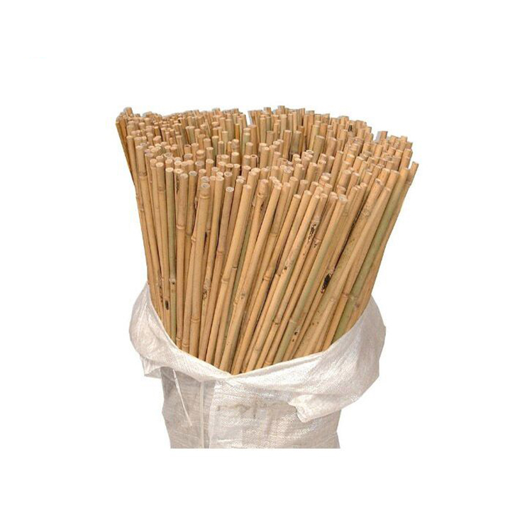 2FT-3FT-4FT-5FT-6FT-Bamboo-Garden