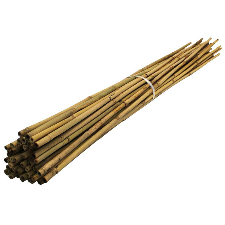 2FT-3FT-4FT-5FT-6FT-Bamboo-Garden[0]