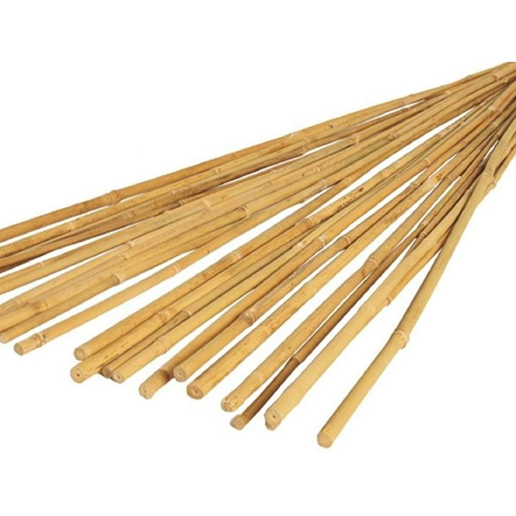 2FT-3FT-4FT-5FT-6FT-Bamboo-Garden[4]